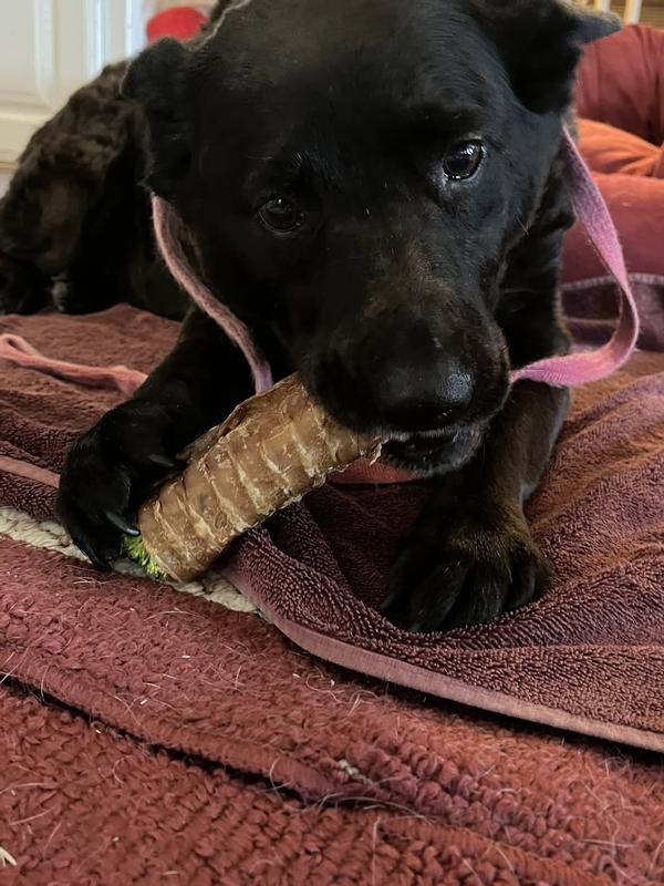 Laci enjoying her tracea on our martini night.. these keep our girls busy while we eat. :-)