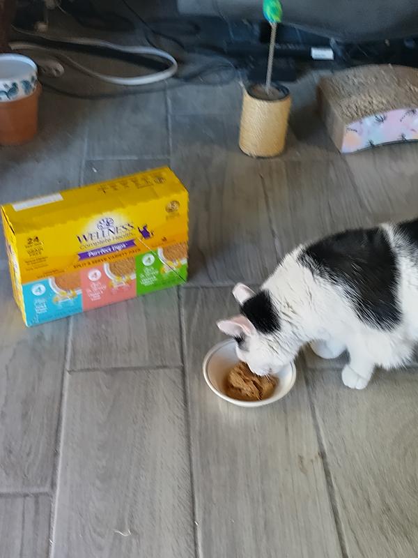 Taste testing went well. Even Fred joined in