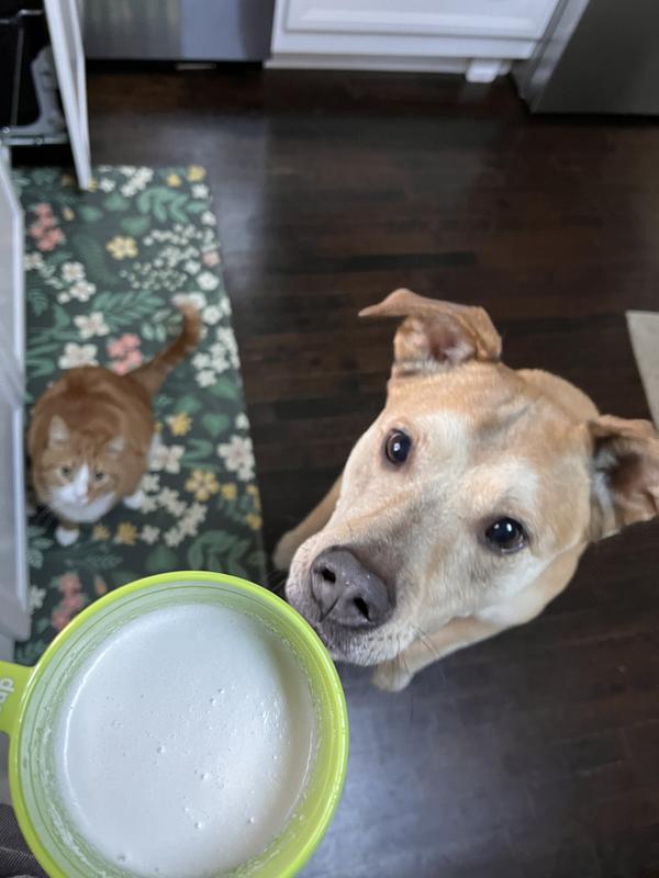 Very curious about this