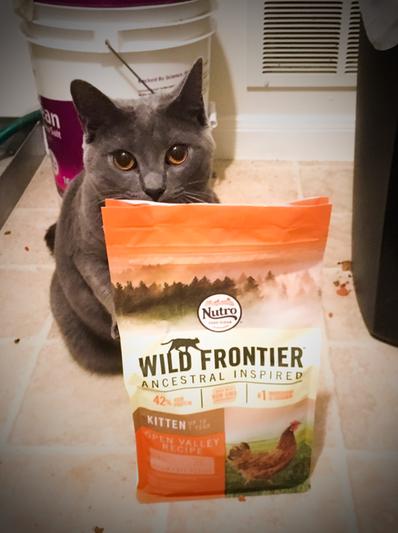 Nutro wild frontier store kitten