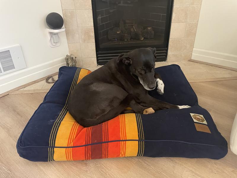 Pendleton dog bed clearance xl