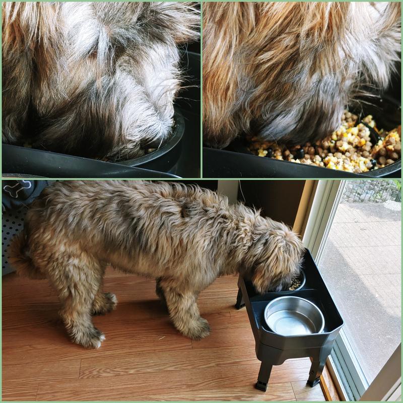 Gébo Loooves! 🤤🐾