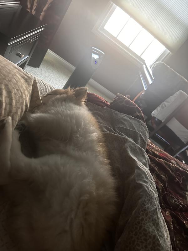 Happy full belly & sleeping sweetly