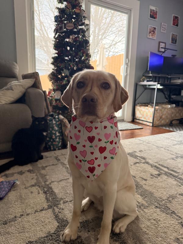 Poppy thinks this side might be better :)