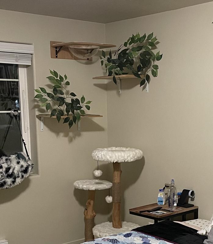 (Note: The 2 shelves beneath the product are NOT included. However, you can purchase them on Chewy by searching On2Pets Cat Canopy Wall Shelves, Rectangle, 2 count.