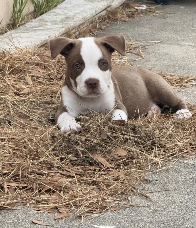 After he ate, he posed  for this pic ❤️