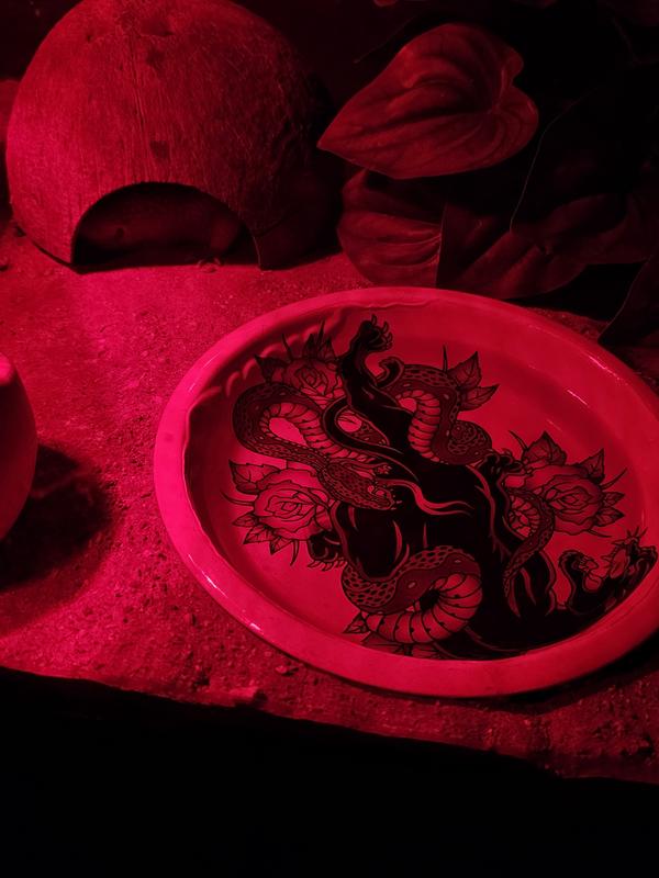 Under red light, a bowl with a decal of a panther interwined with a snake, fighting.