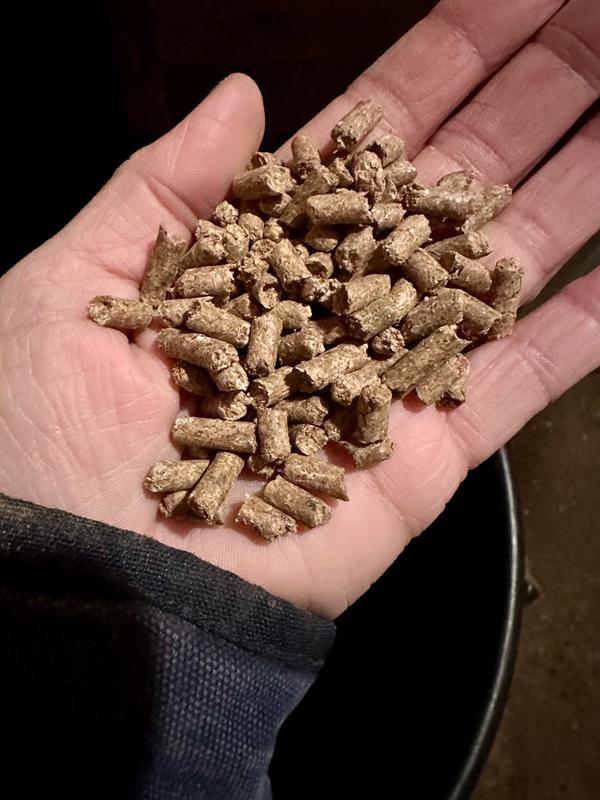 The supplement has a pleasant scent and the size is comparable to their grain.