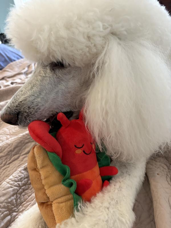 Brodie with his smiling lobster