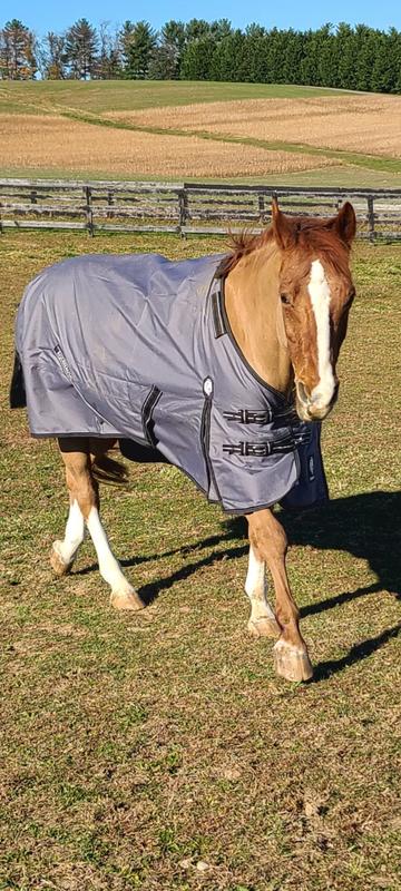 Sheet stays in place after rolling.