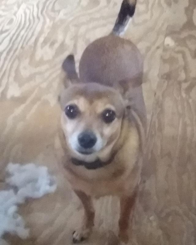 J.J