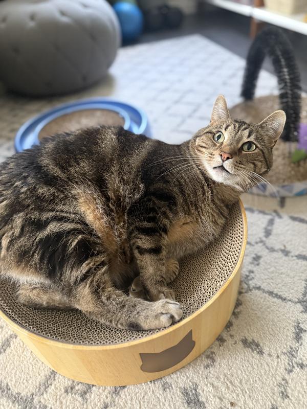 Having so much fun scratching