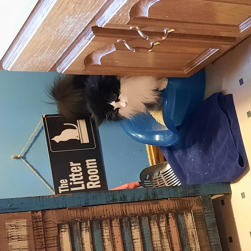 SMARTCAT Ultimate Litter Box