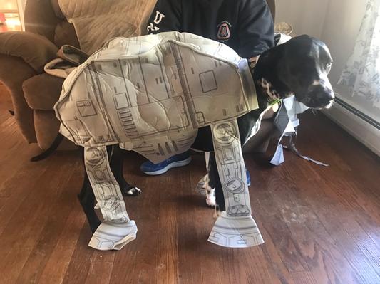 Imperial walker dog costume hotsell