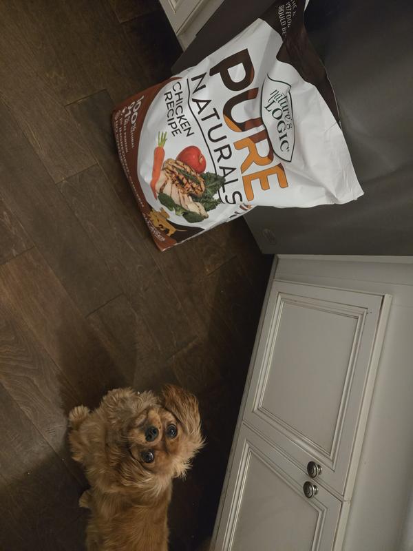 Anxiously awaiting Mom to open the bag