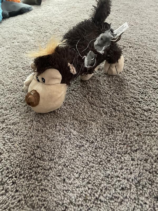KONG Cozie Spunky the Monkey Dog Toy Medium Chewy