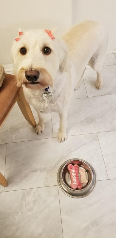 Happy 2nd Birthday to Mabel