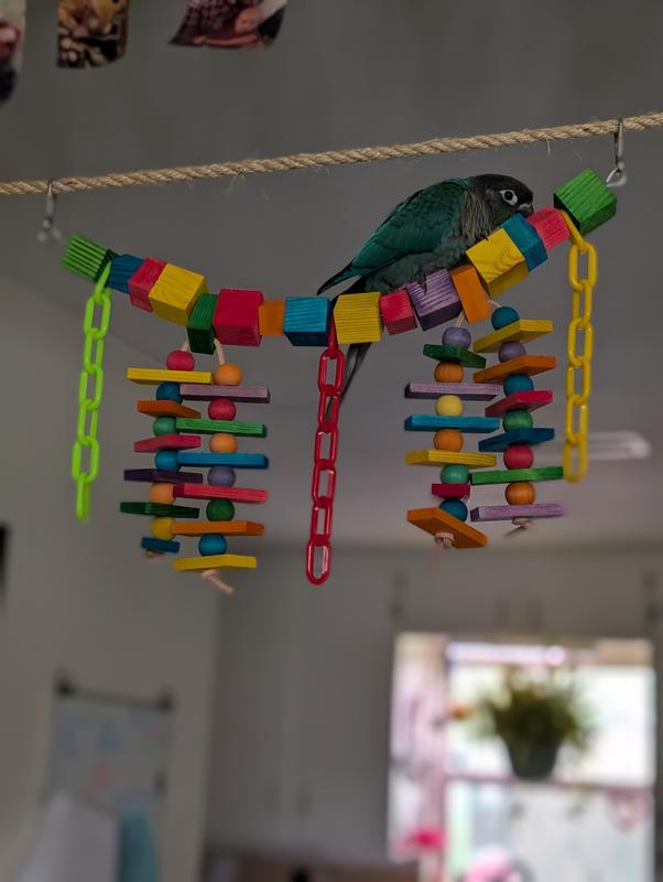 SUNGROW Large Hammock Swing for Parrot & Cockatiel, Bridge Blocks