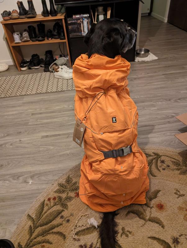 HURTTA Expedition Insulated Dog Parka, Bilberry, 16in, XSmall