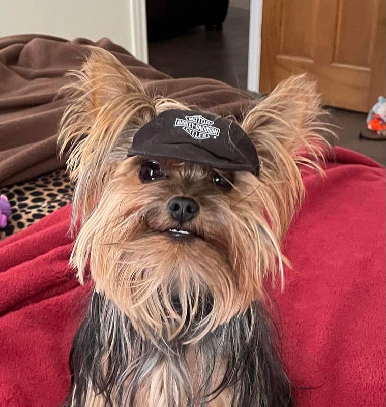 My buddy Barkley