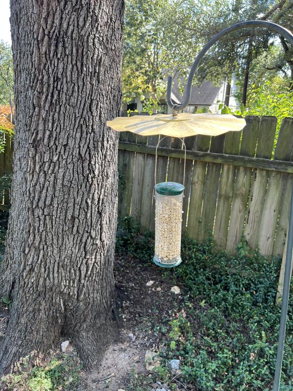 My feeder - jumping distance for the squirrels