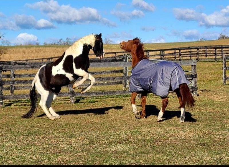 Testing play ability with new turnout sheet.