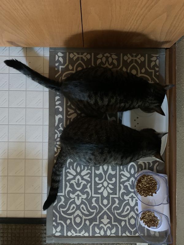 not really “non-skid” but with the platter it moved around a lot less.