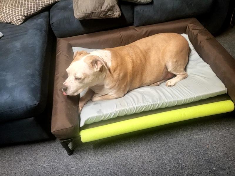 K&H PET PRODUCTS Original Bolster Pet Cot Elevated Dog Bed, Chocolate