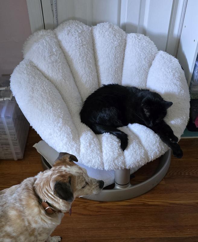 TAVO PETS Shell Swaying Lounger Dog & Cat Bed, Latte - Chewy.com