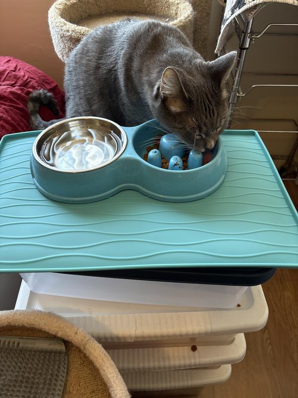 allergic to cat litter box Pea-based Cat Litter