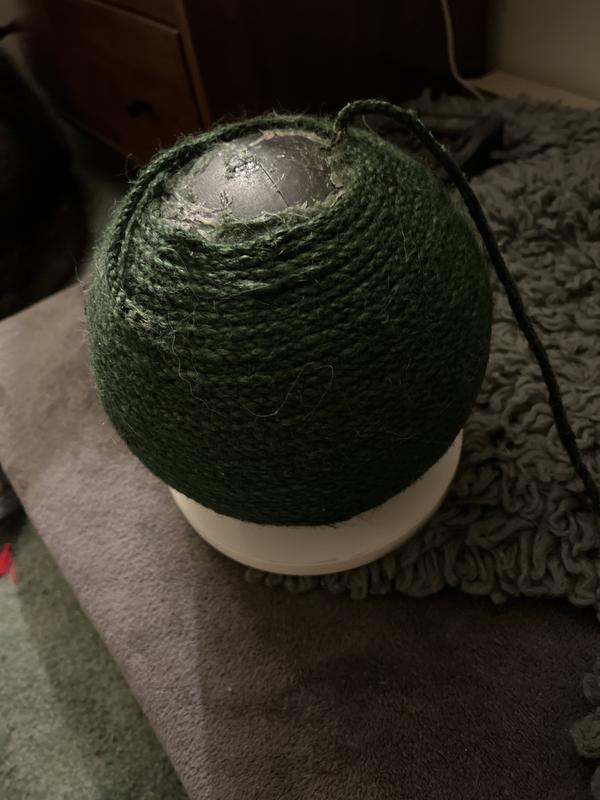 The dog was the only interested party of the Three Amigas