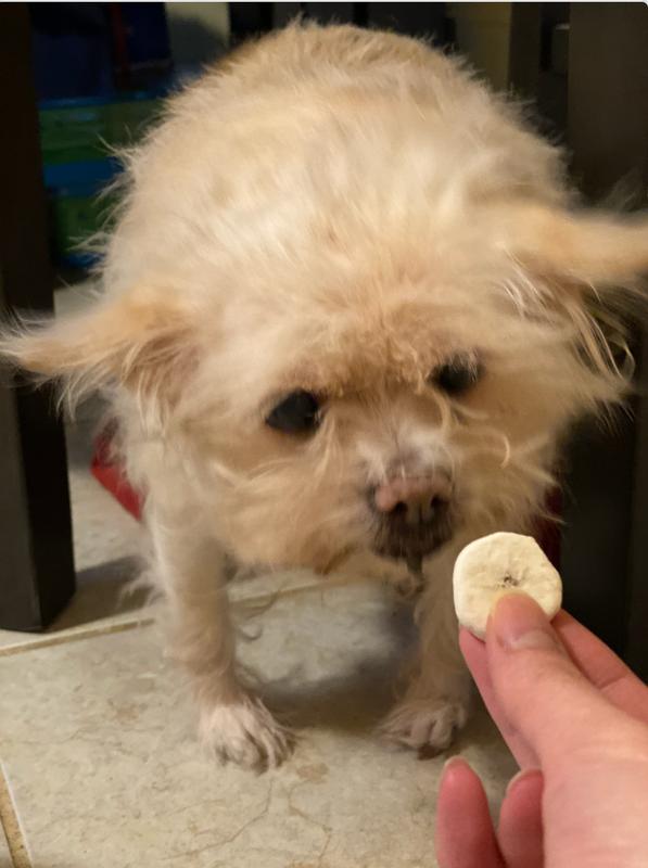 First Time Eating Banana