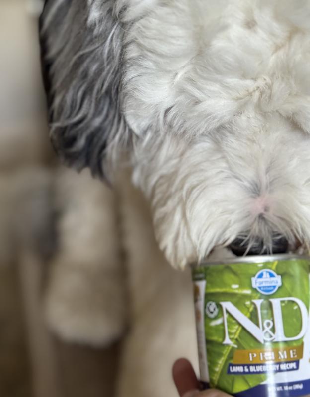 The lid is still sealed, but she recognizes when we get the can out of the cabinet.