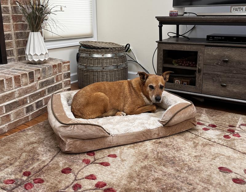 FurHaven Velvet Waves Perfect Comfort Orthopedic Sofa Cat & Dog Bed