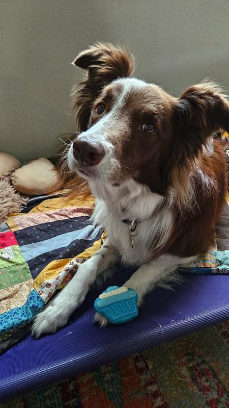 Waiting for a picture, come on mom.