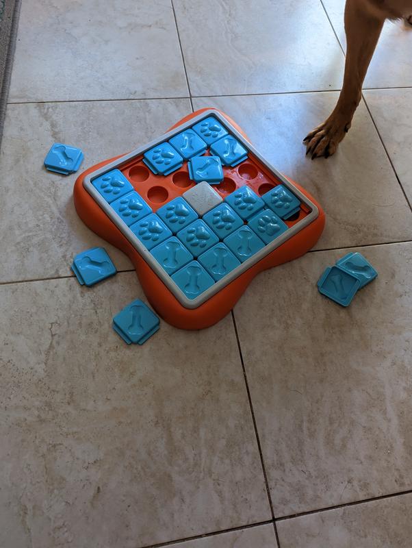 Nina Ottosson Challenge Slider Puzzle Level 3 Dog Toy