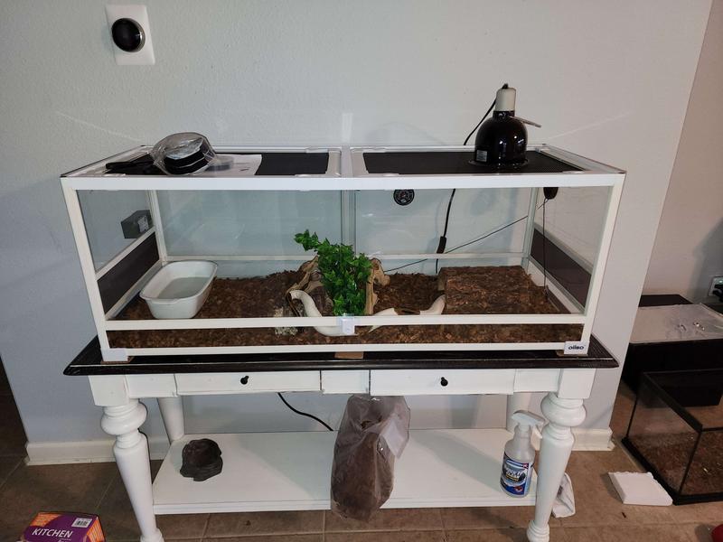 OIIBO Glass Screen Ventilation Reptile Terrarium - Chewy.com