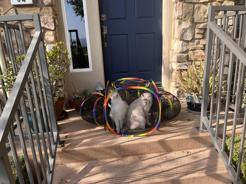 Could have been good if worked.