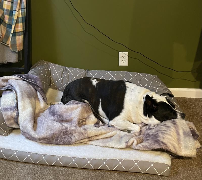She’s napping her bed right now
