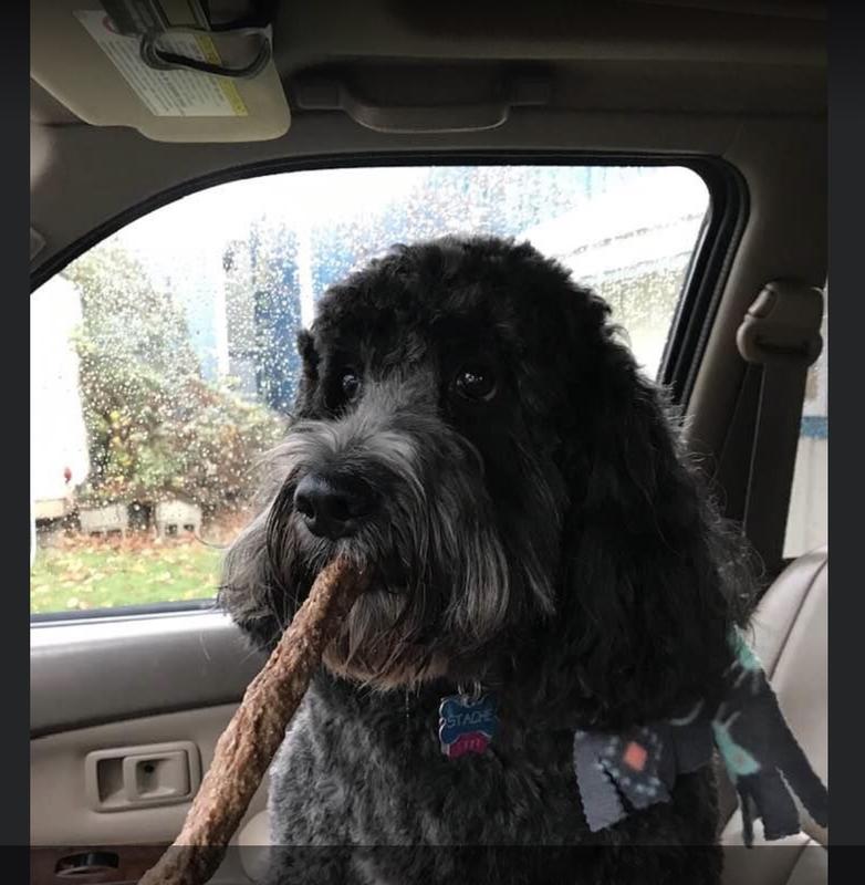 Happy boy!