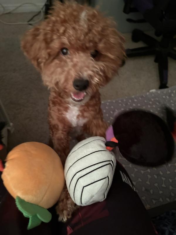 It’s not even Halloween but I love them