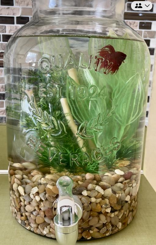 Beautiful Aquarium-Instantly