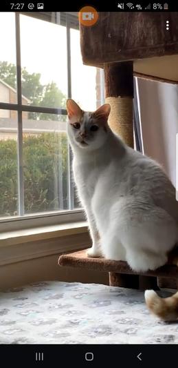 RIP ROAD DOG 6-30-2014 - 3-2-2022