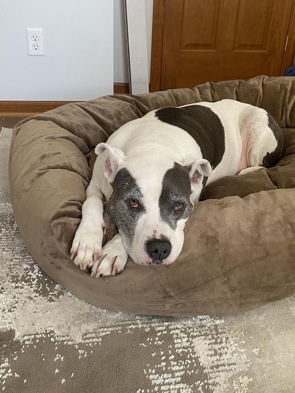 FRISCO Velvet Round Bolster Dog Bed w/Removable Cover, Gray, XLarge