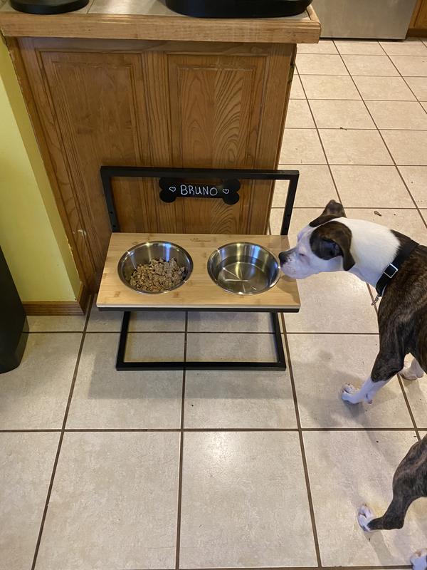 10 Benefits of an Elevated Dog Bowl – Neater Pets