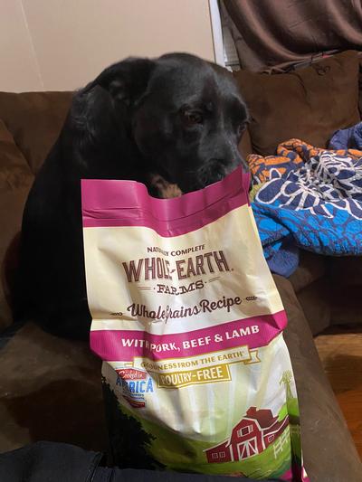 WHOLE EARTH FARMS Grain Free Pork Beef Lamb Recipe Dry Dog Food 25 lb bag Chewy