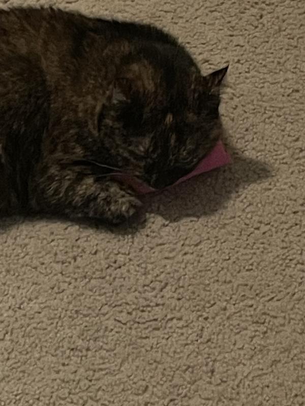 It works as a pillow too