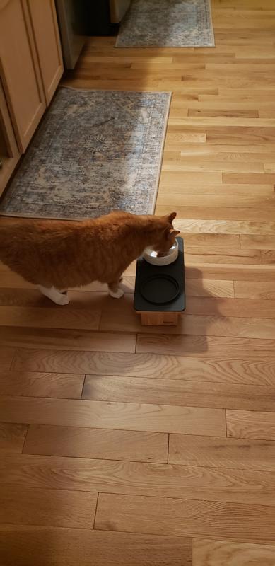 William...no straing his neck