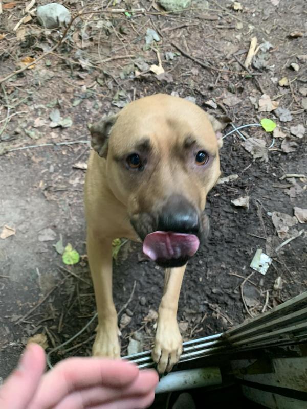 Where's my treat daddy. 😊