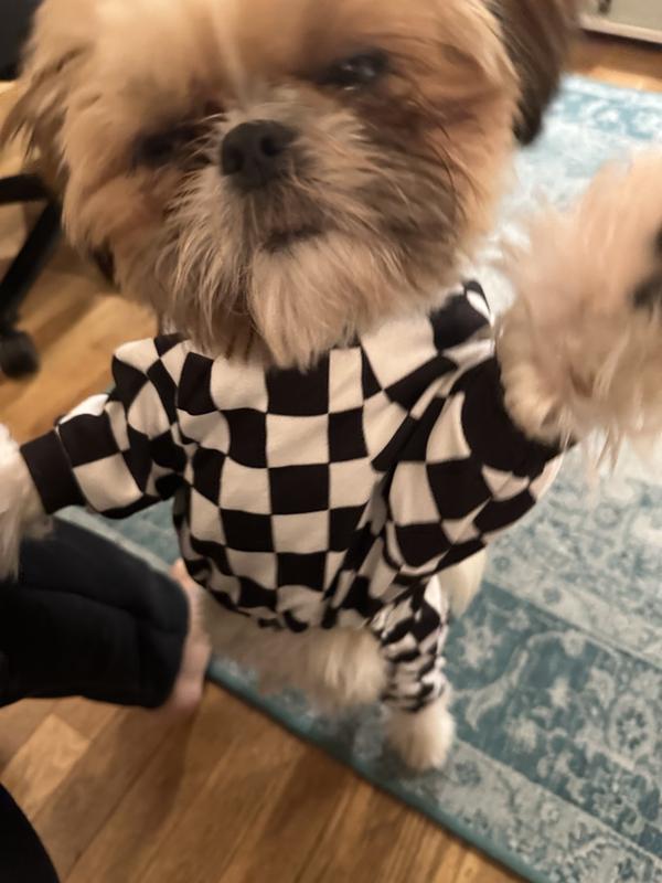 Dog takes selfie in onesie